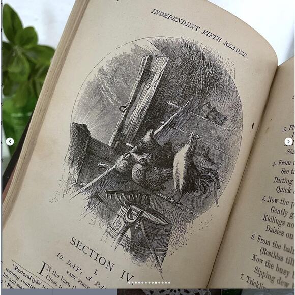 Antique Shabby School Book Independent Fifth Reader Illustrated Marble Edge 1883 - Picture 9 of 10